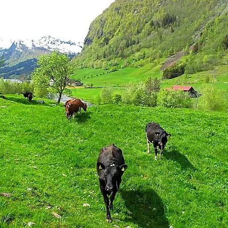 Tuftegarden *